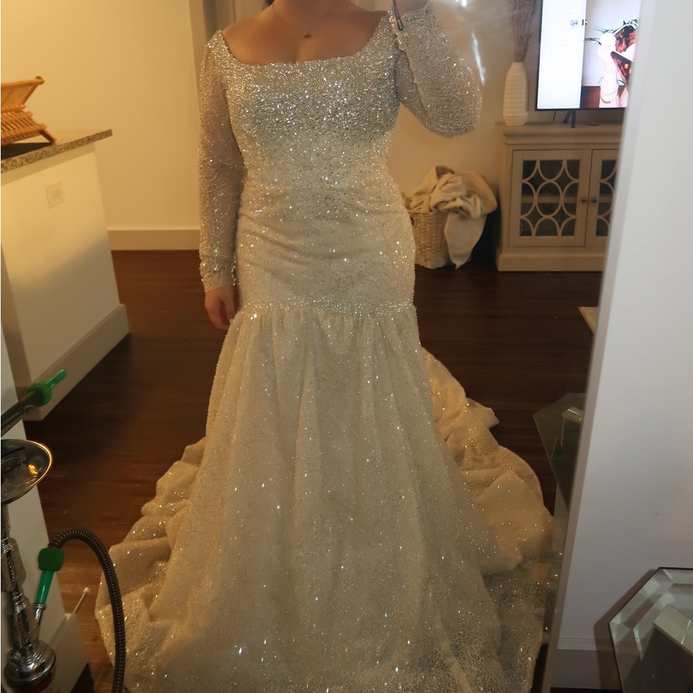Size 10 Dina Hawidi Fit and Flare Beaded Long Sleeve Wedding Gown